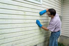 Shed Removal in Uhland, TX